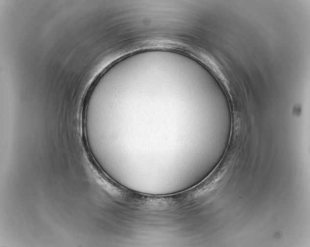 X0000093380843200711011248