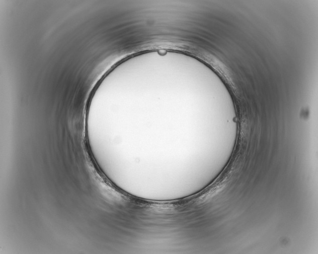 X0000093380844200711011248