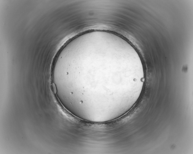 X0000093380845200711011248