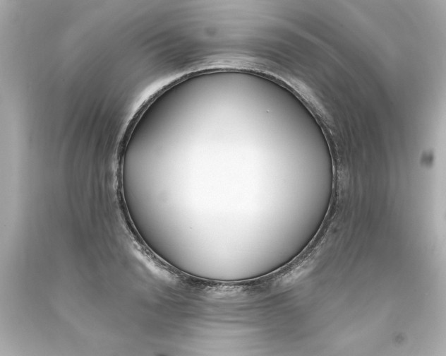 X0000093380846200711011248