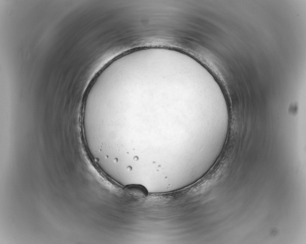 X0000093380847200711011248