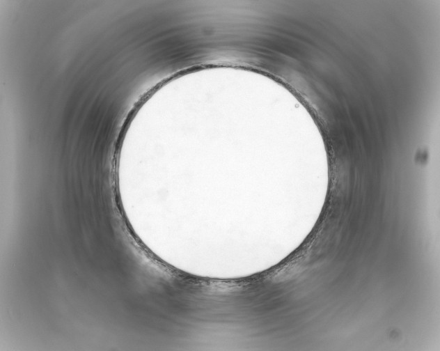 X0000093380848200711011248