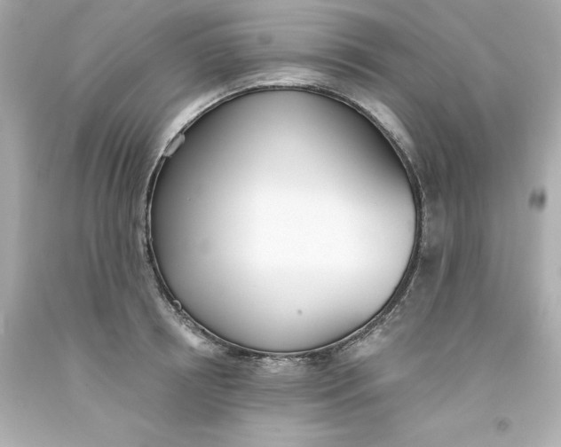 X0000093380850200711011248