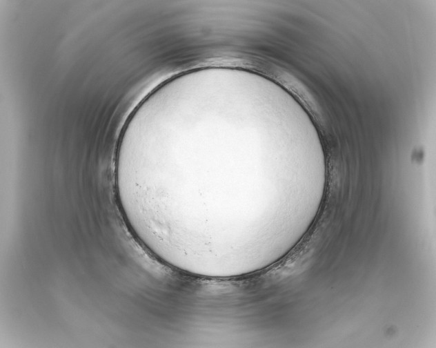 X0000093380852200711011248