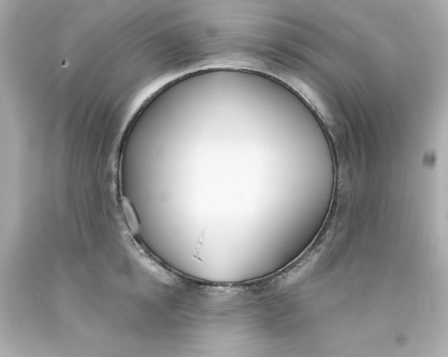 X0000093380854200711011248