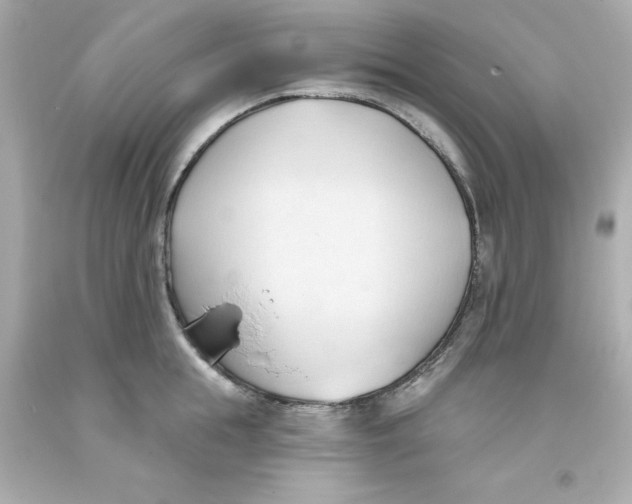 X0000093380855200711011248