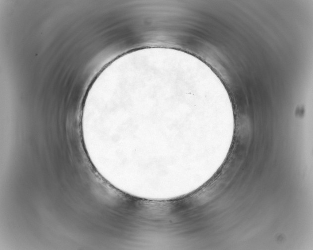 X0000093380856200711011248