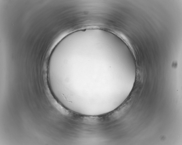 X0000093380859200711011248