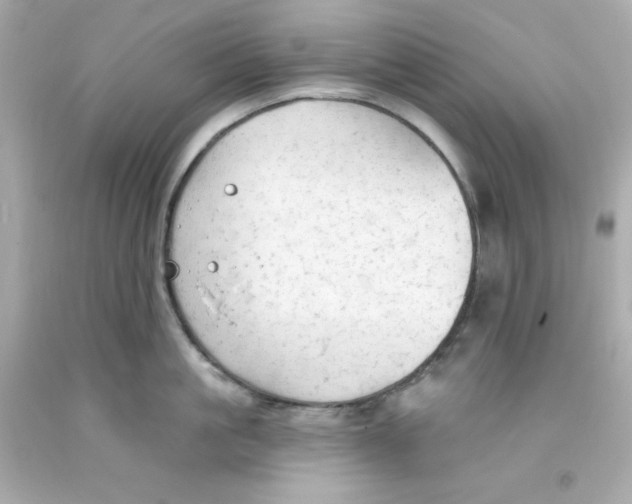 X0000093380861200711011248