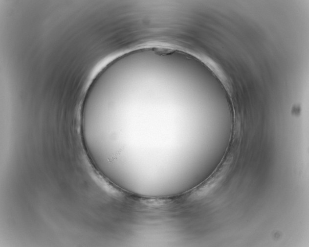 X0000093380862200711011248