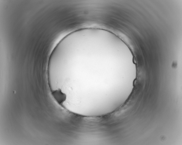 X0000093380863200711011248