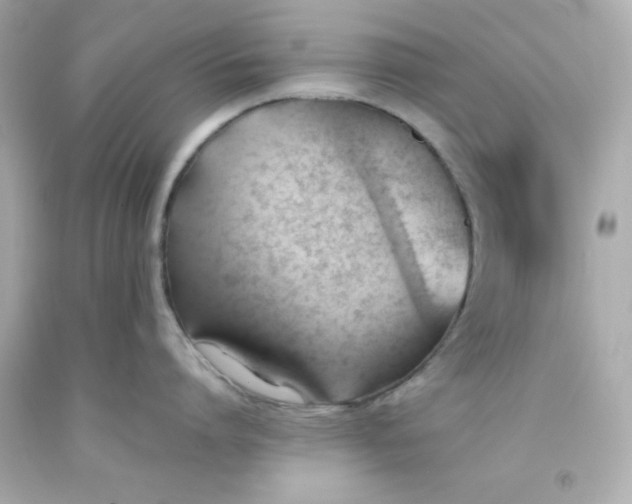 X0000093380864200711011248