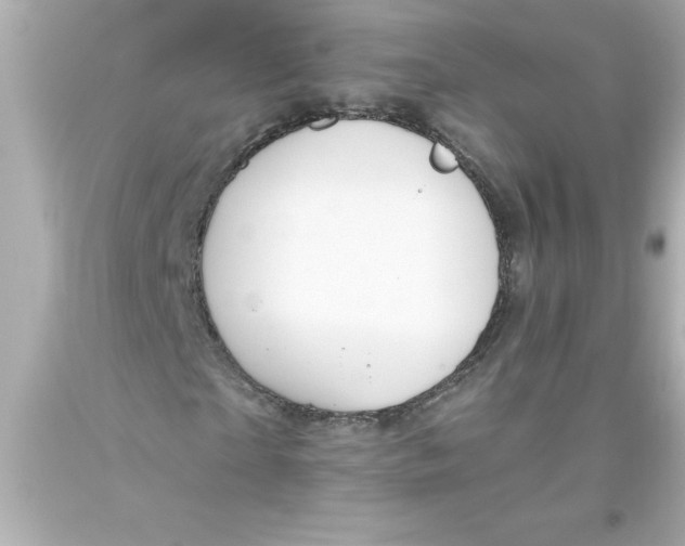 X0000093380865200711011248