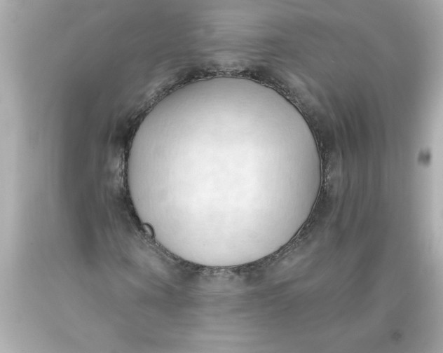 X0000093380866200711011248