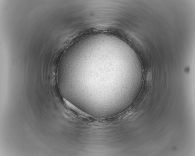 X0000093380868200711011248