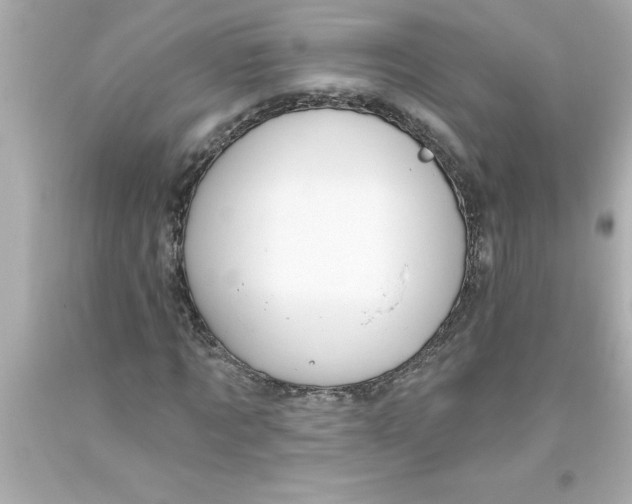 X0000093380869200711011248