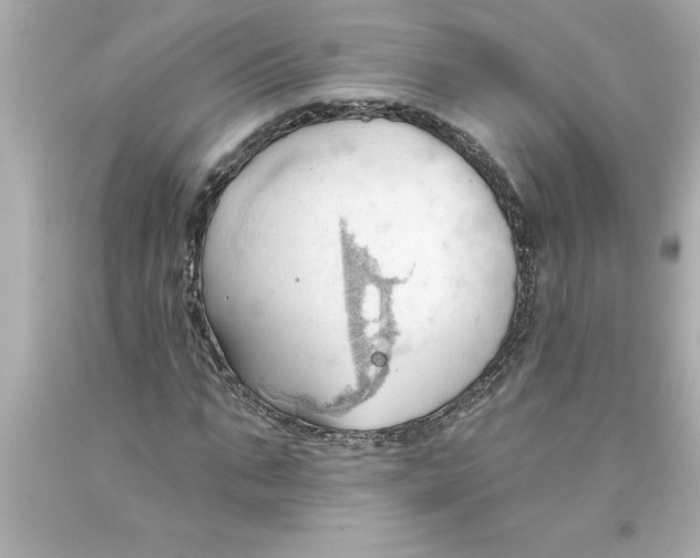 X0000093380871200711011248