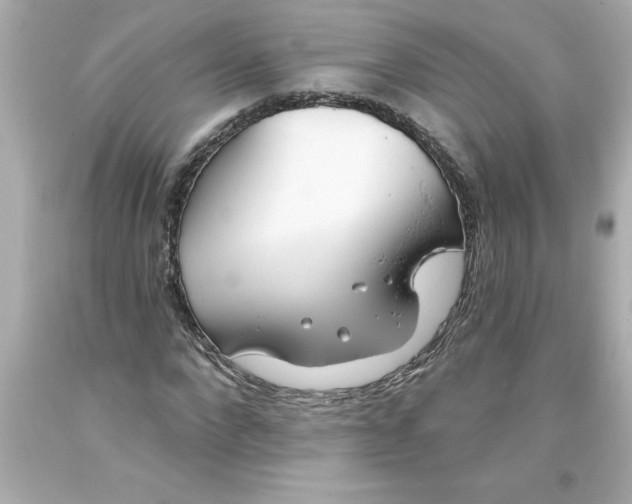 X0000093380872200711011248