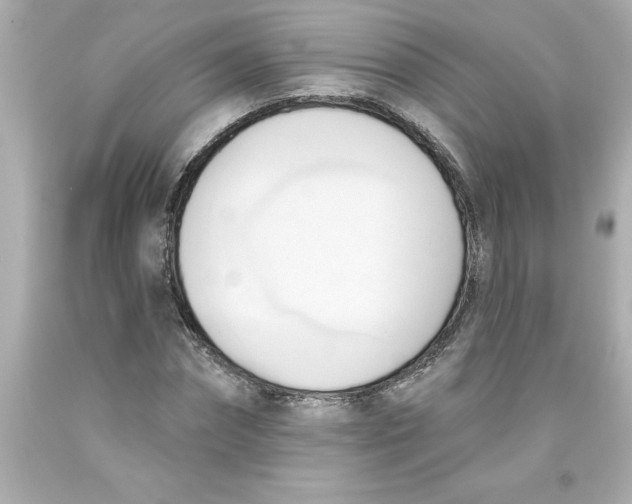 X0000093380874200711011248