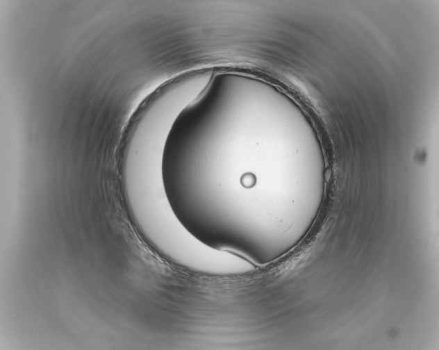 X0000093380875200711011248