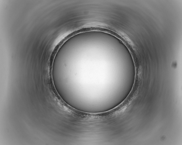 X0000093380877200711011248