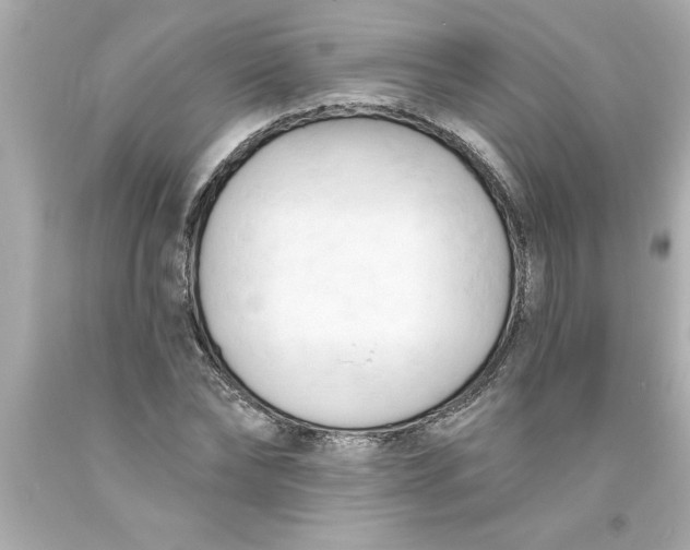 X0000093380878200711011247