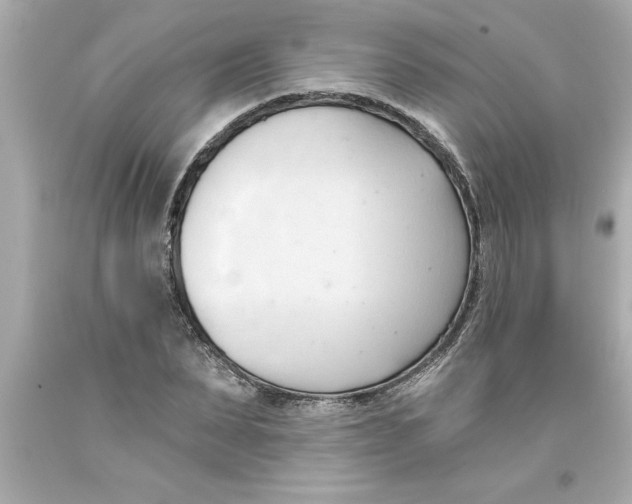 X0000093380879200711011247