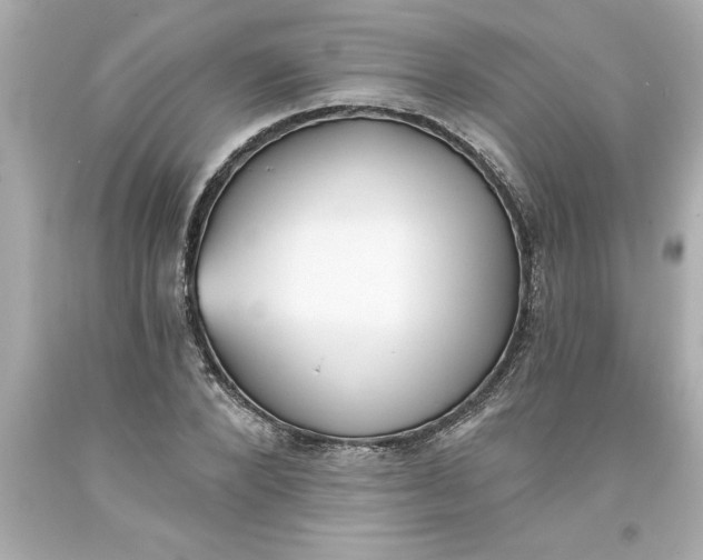 X0000093380880200711011247