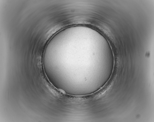 X0000093380881200711011247