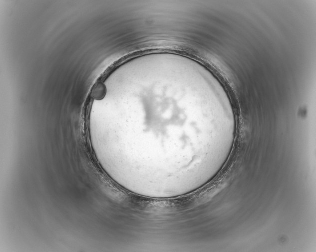 X0000093380883200711011247