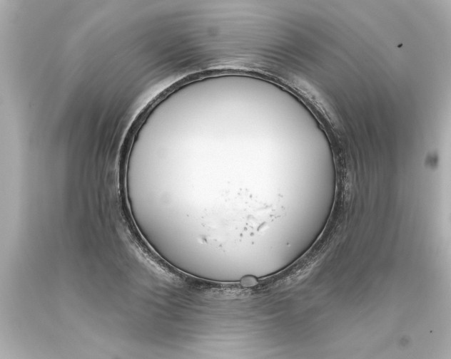 X0000093380884200711011247