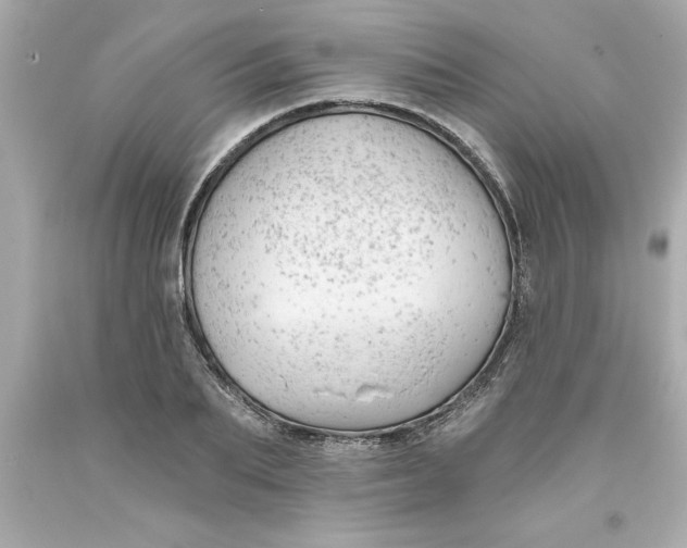 X0000093380887200711011247