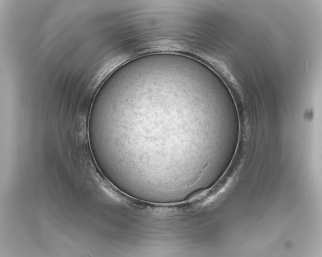 X0000093380889200711011247