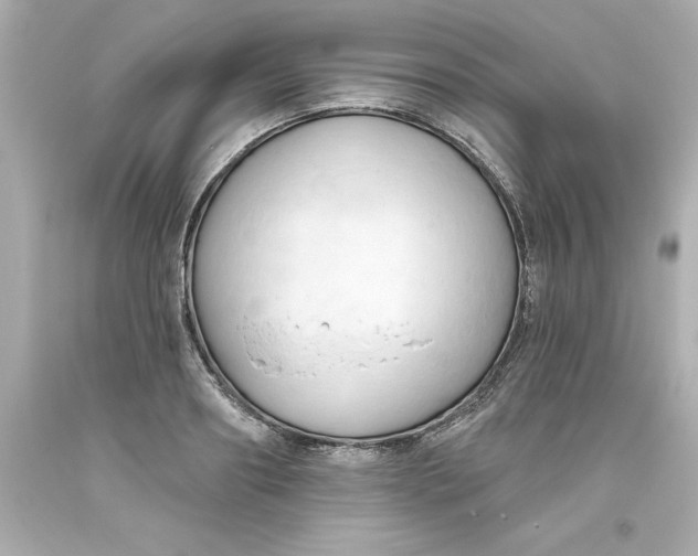 X0000093380890200711011247