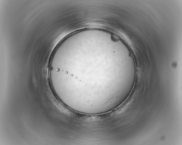 X0000093380891200711011247