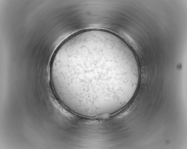 X0000093380892200711011247