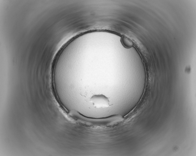 X0000093380894200711011247