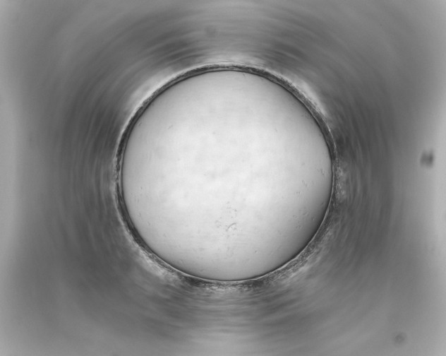 X0000093380895200711011247