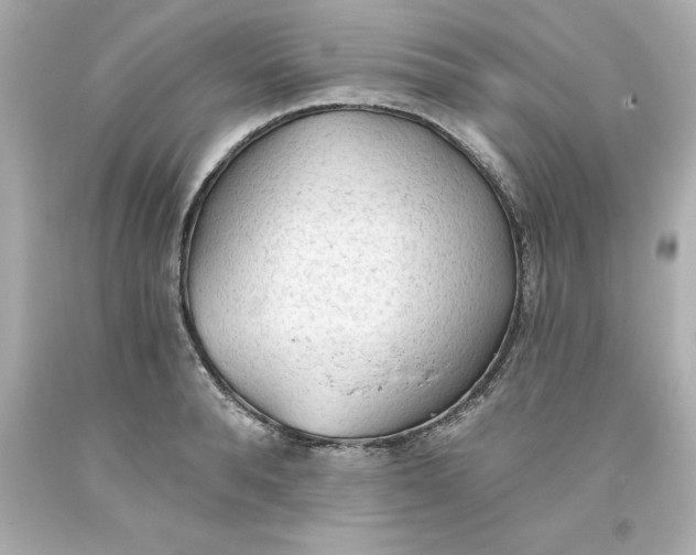 X0000093380896200711011247