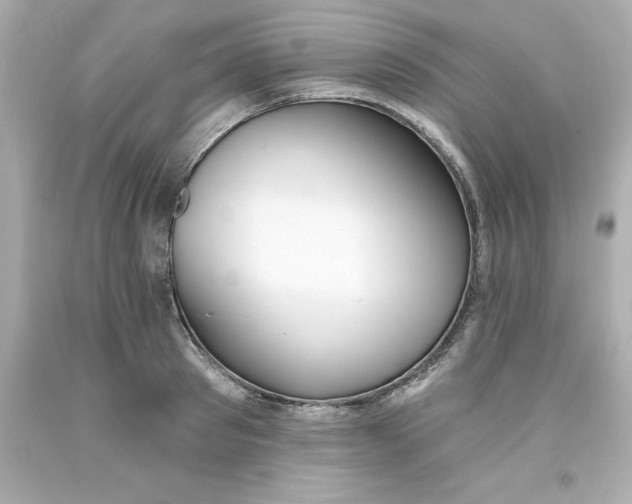 X0000093380897200711011247