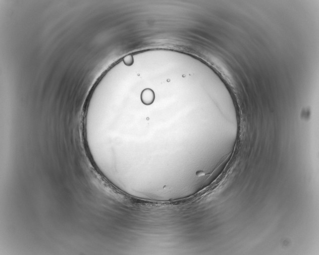 X0000093380899200711011247