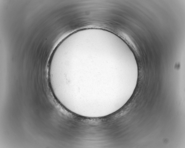 X0000093380900200711011247