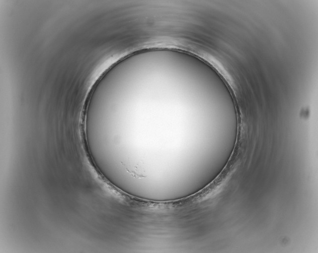 X0000093380901200711011247