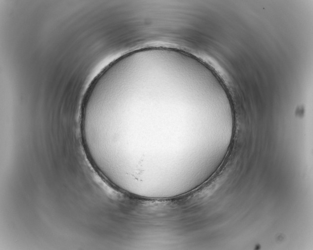 X0000093380902200711011247