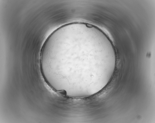 X0000093380903200711011247