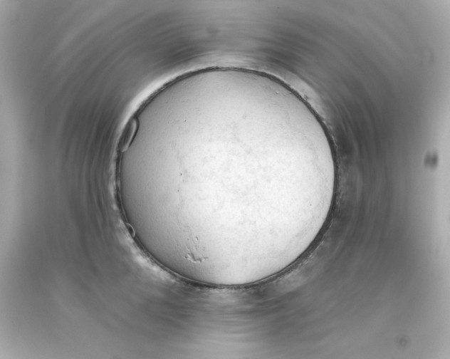 X0000093380904200711011247