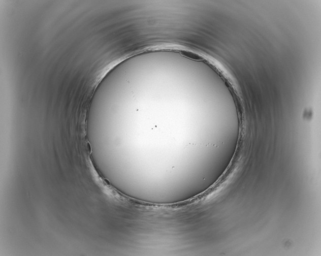 X0000093380905200711011247