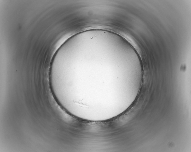 X0000093380906200711011247