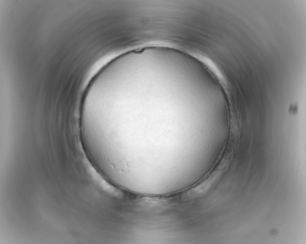 X0000093380910200711011247