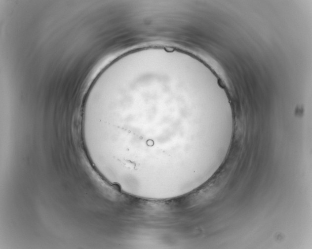 X0000093380911200711011247